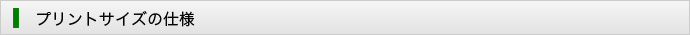 プリントサイズの仕様